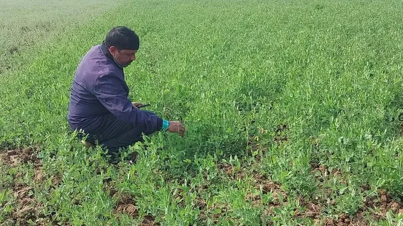 mokama farmers