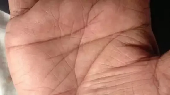 Palmistry 2022