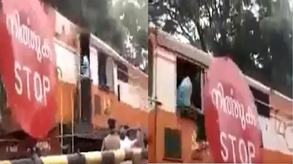 Social Media Viral Video
