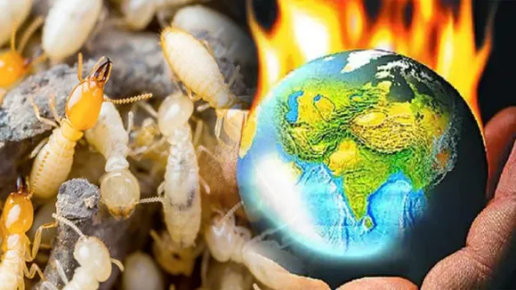 Global Warming