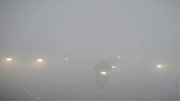 Fog