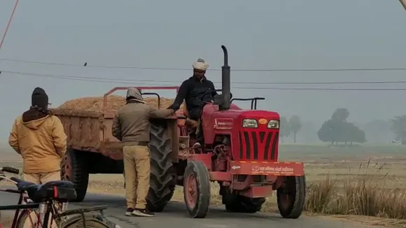 balu mafia
