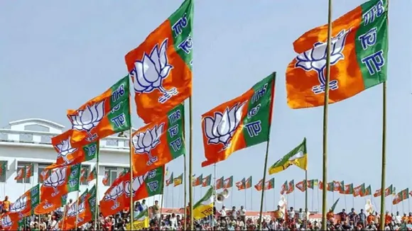 BJP Flags
