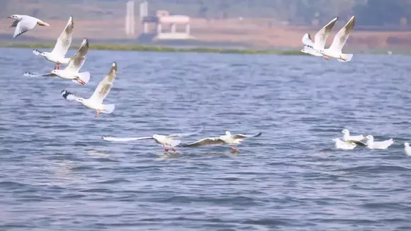 udhwa lake