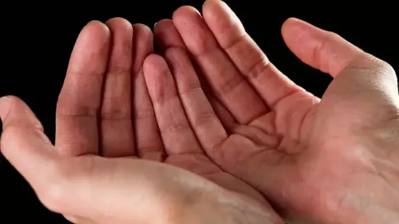 Palmistry 2023