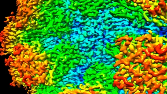 NoroVirus