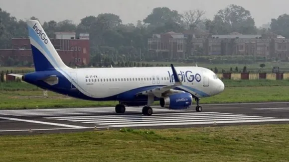 indigo