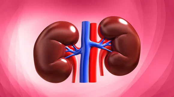 kidney problem