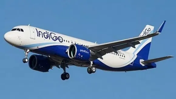 INDIGO