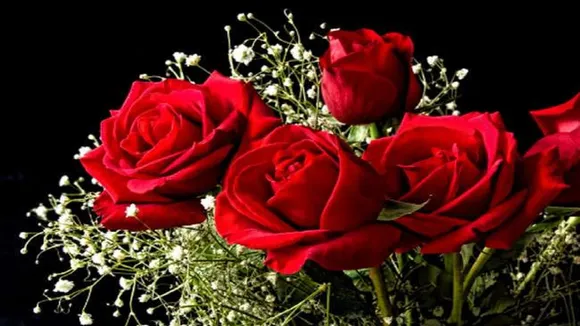 Vastu Tips Of Rose