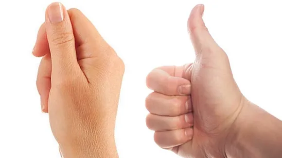 Palmistry 2023