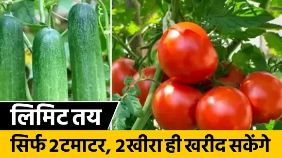 uk vegitable crisis