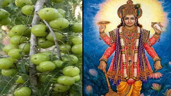 Rangbhari Ekadashi Upay 2023