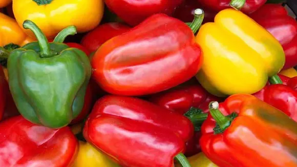 Benefits Of Capsicum