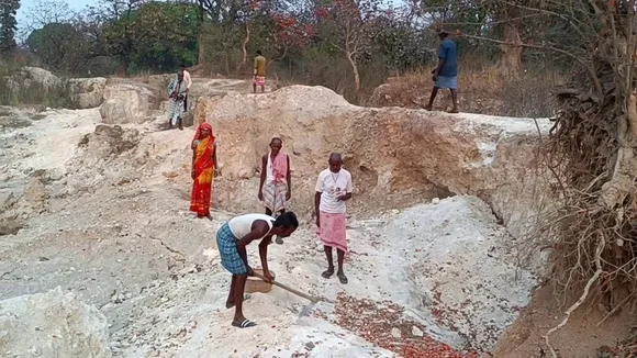 milk soil