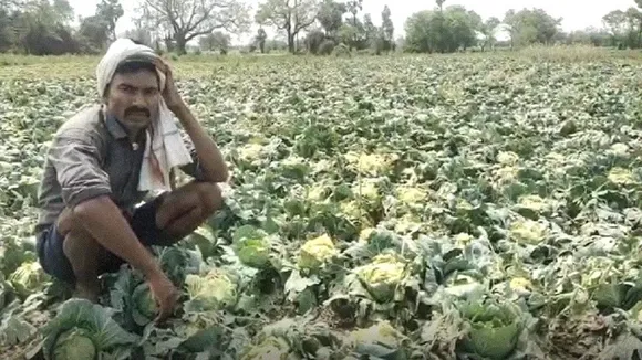farmer