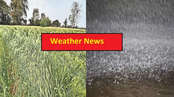 weather