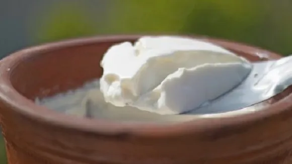 Tamil Nadu Curd Politics