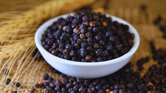 Black Pepper