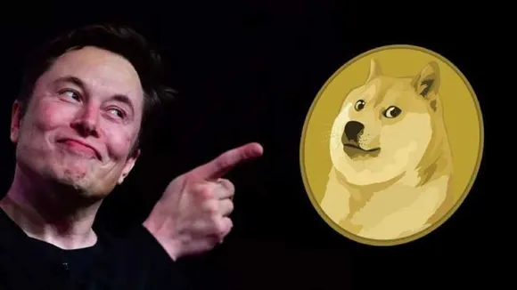 elon