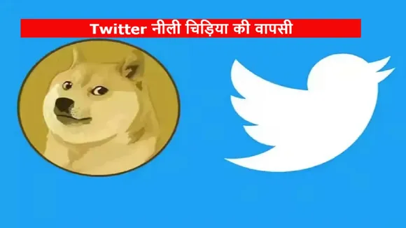 Twitter Blue Bird Logo