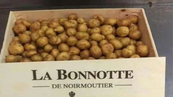potato