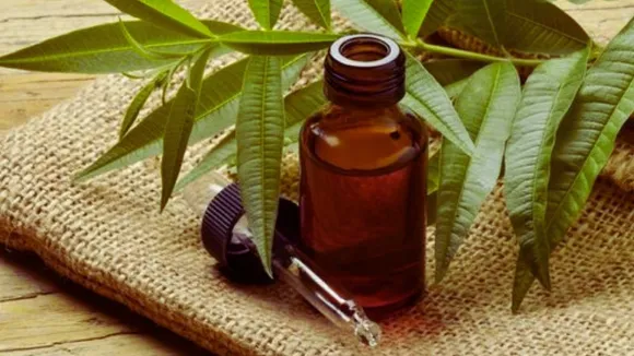 Tea Tree Oil
