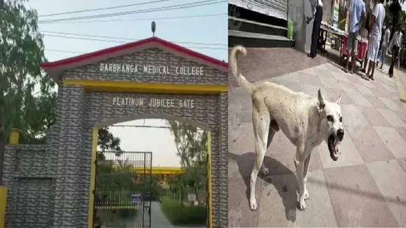 kutta