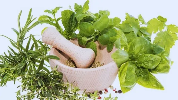 Ayurvedic Herbs
