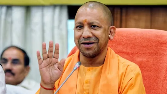 yogi