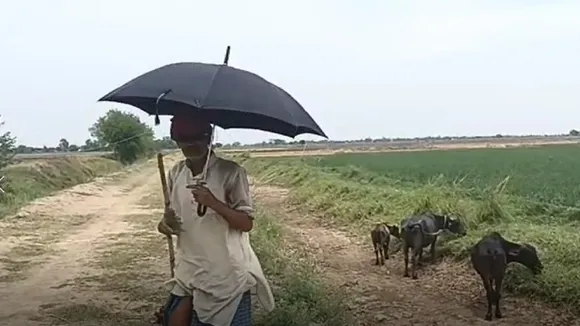 bhansh
