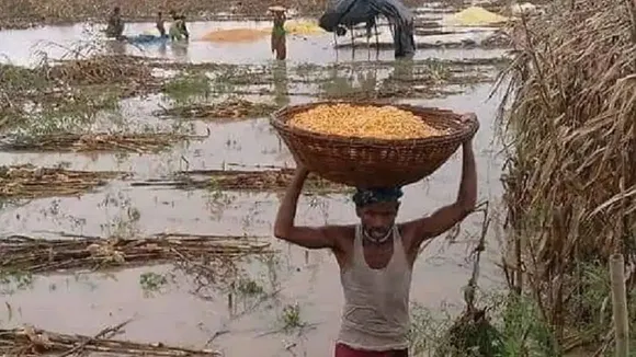fasal beema yojna