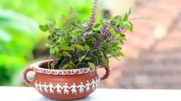 Tulsi Niyam 2023