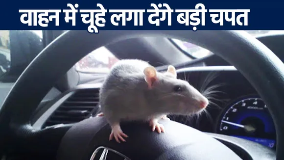 Protection from rats