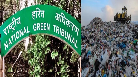 ngt