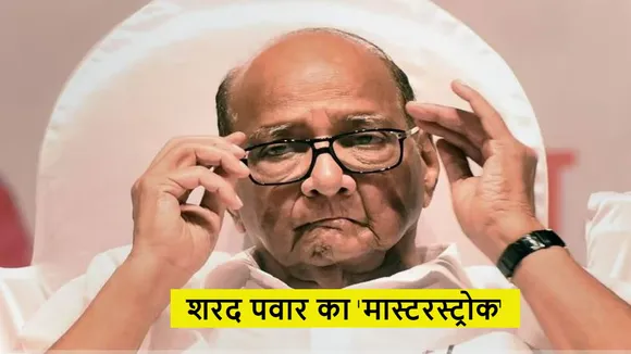 sharad pawar ncp president