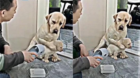 VIRAL MOTHERS VIDEO