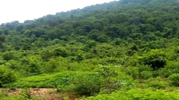 Budha pahad
