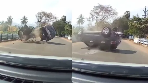 viral accident video
