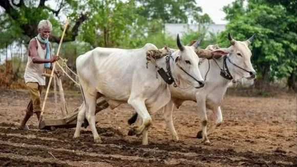 kisan nidhi