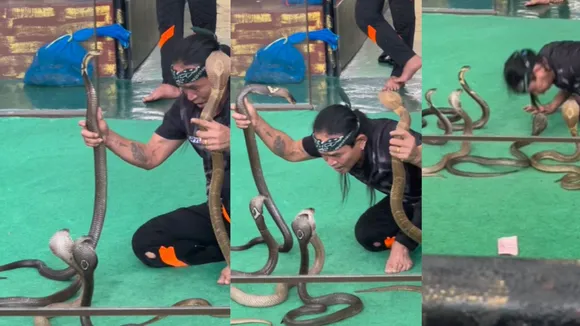 viral snake trending video