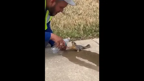 viral trending news