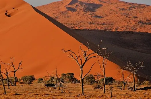 Desert