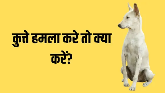 What to do if dog attacks