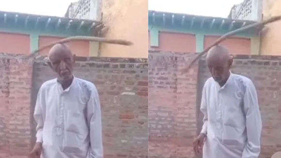 viral trending video