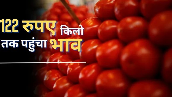Tomato Price