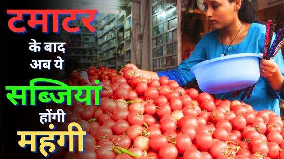Tomato Price Today