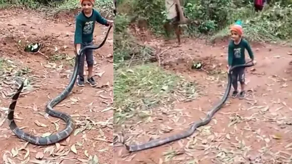 viral cobra trending video