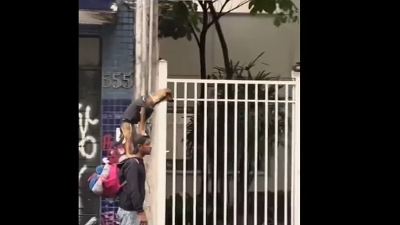 viral trending video