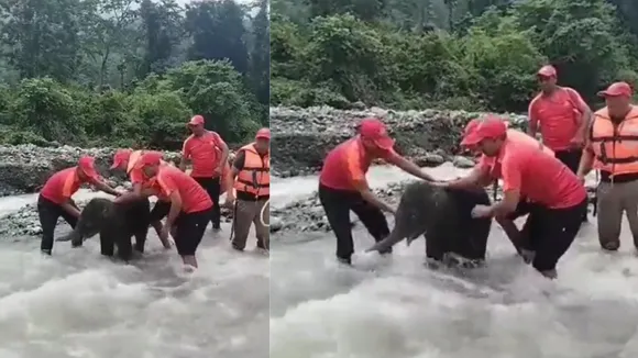 viral ssb trending video